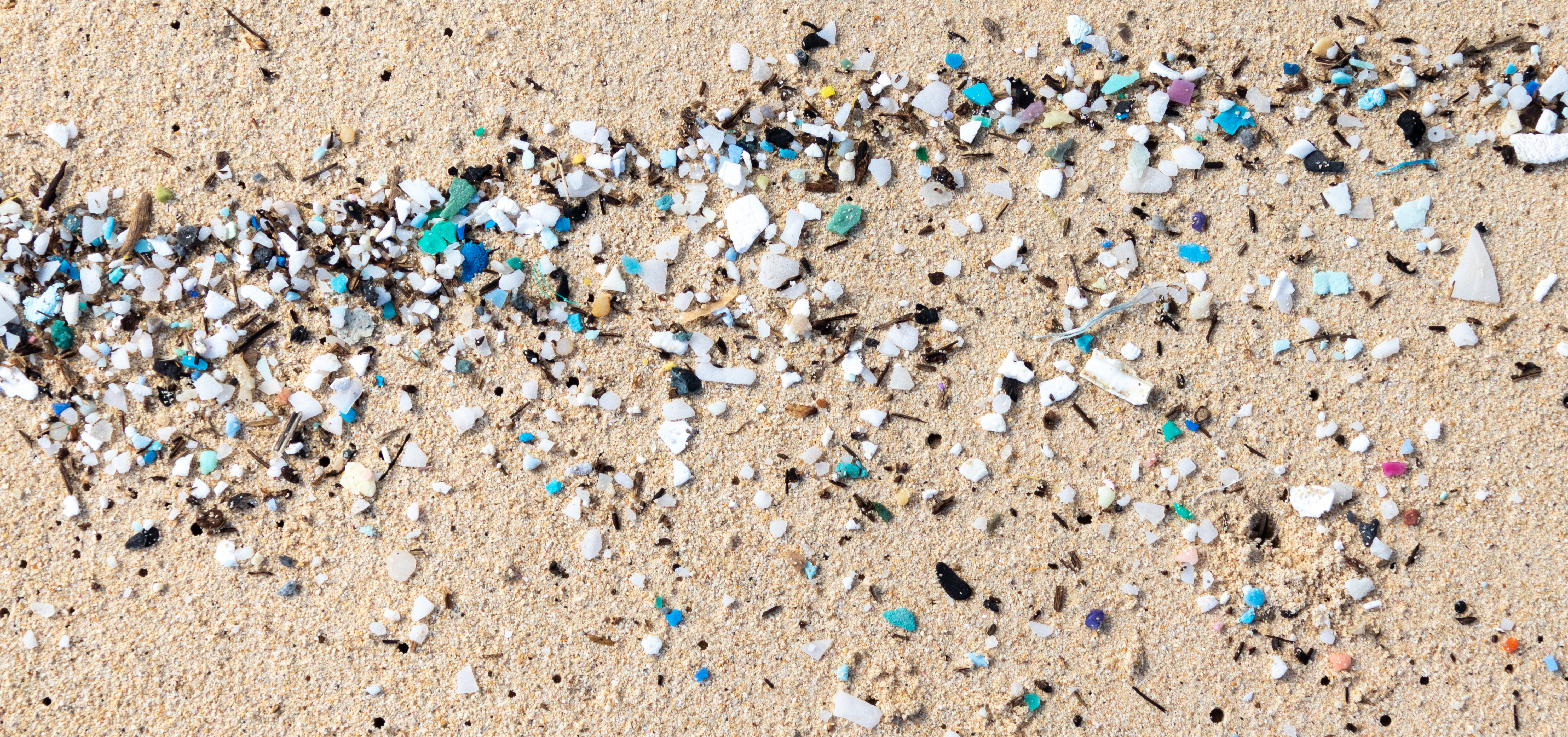 Image - Roehampton academics awarded Leverhulme Research Project Grant to study microplastics in groundwater ecosystems